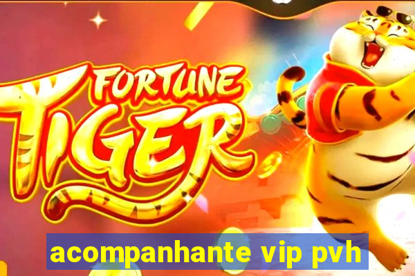 acompanhante vip pvh